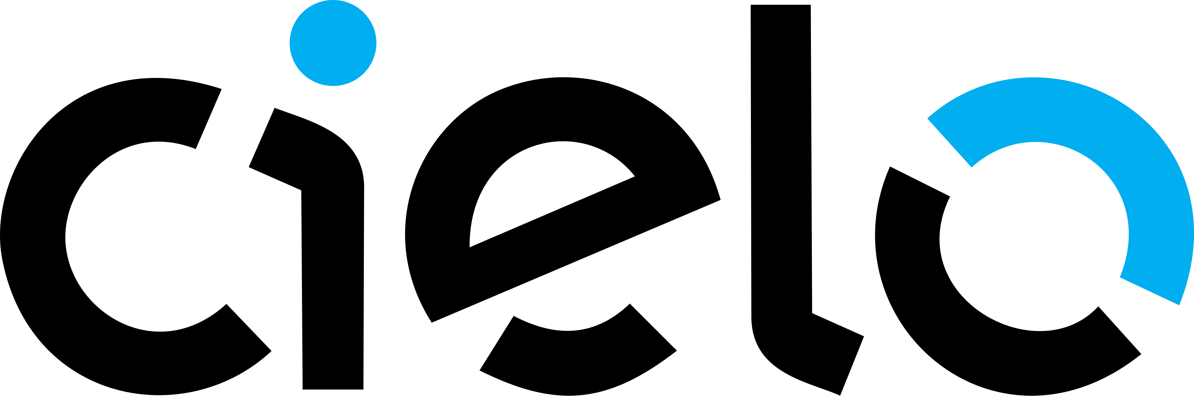 Parceiro 4